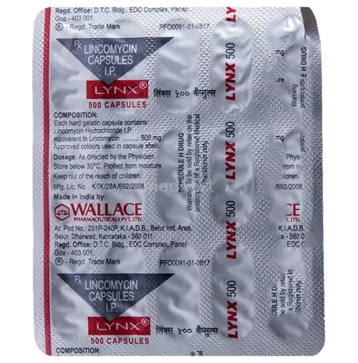 lynx 500mg tablet 15's